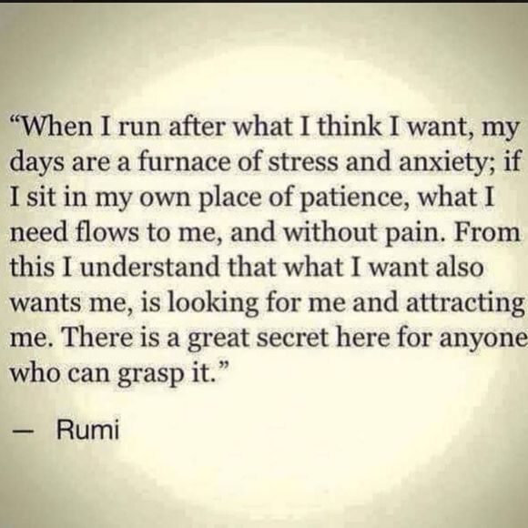 Meet your Posher, Heather - Picture 4 of 4